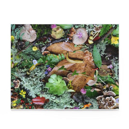 Forest Floor Nature Puzzle — Banana SLugLeaves, Mushrooms & Moss (120/252/500 pc)