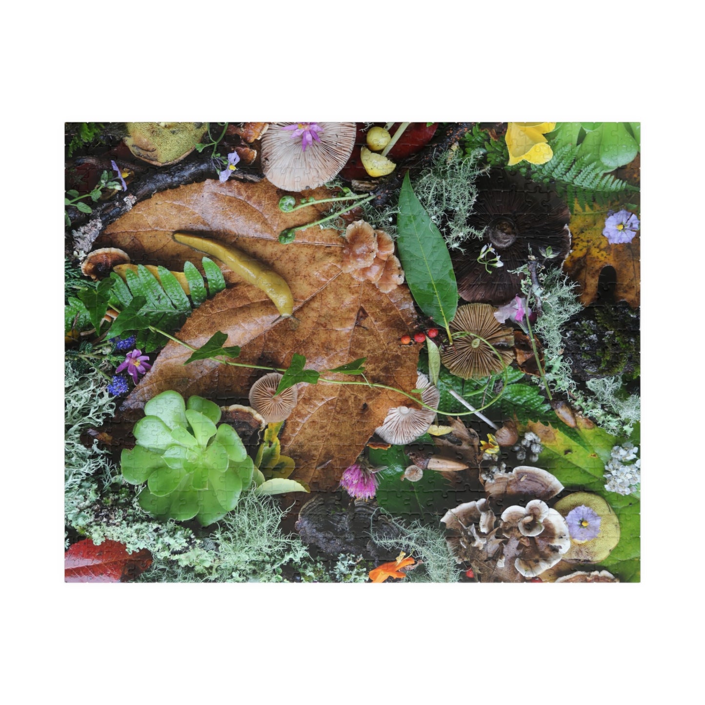 Autumn Forest Floor Puzzle — Nature Leaf & Moss Jigsaw (110–1014 pcs)