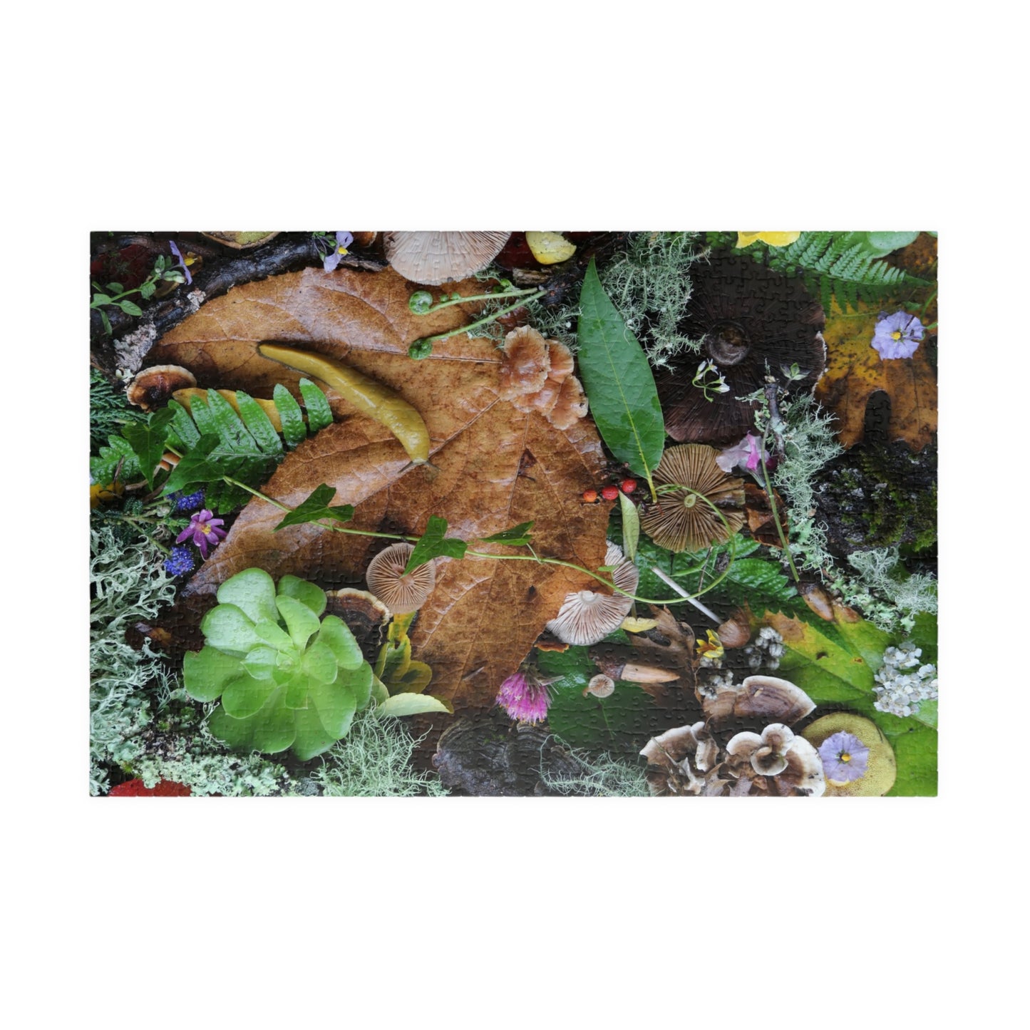 Autumn Forest Floor Puzzle — Nature Leaf & Moss Jigsaw (110–1014 pcs)