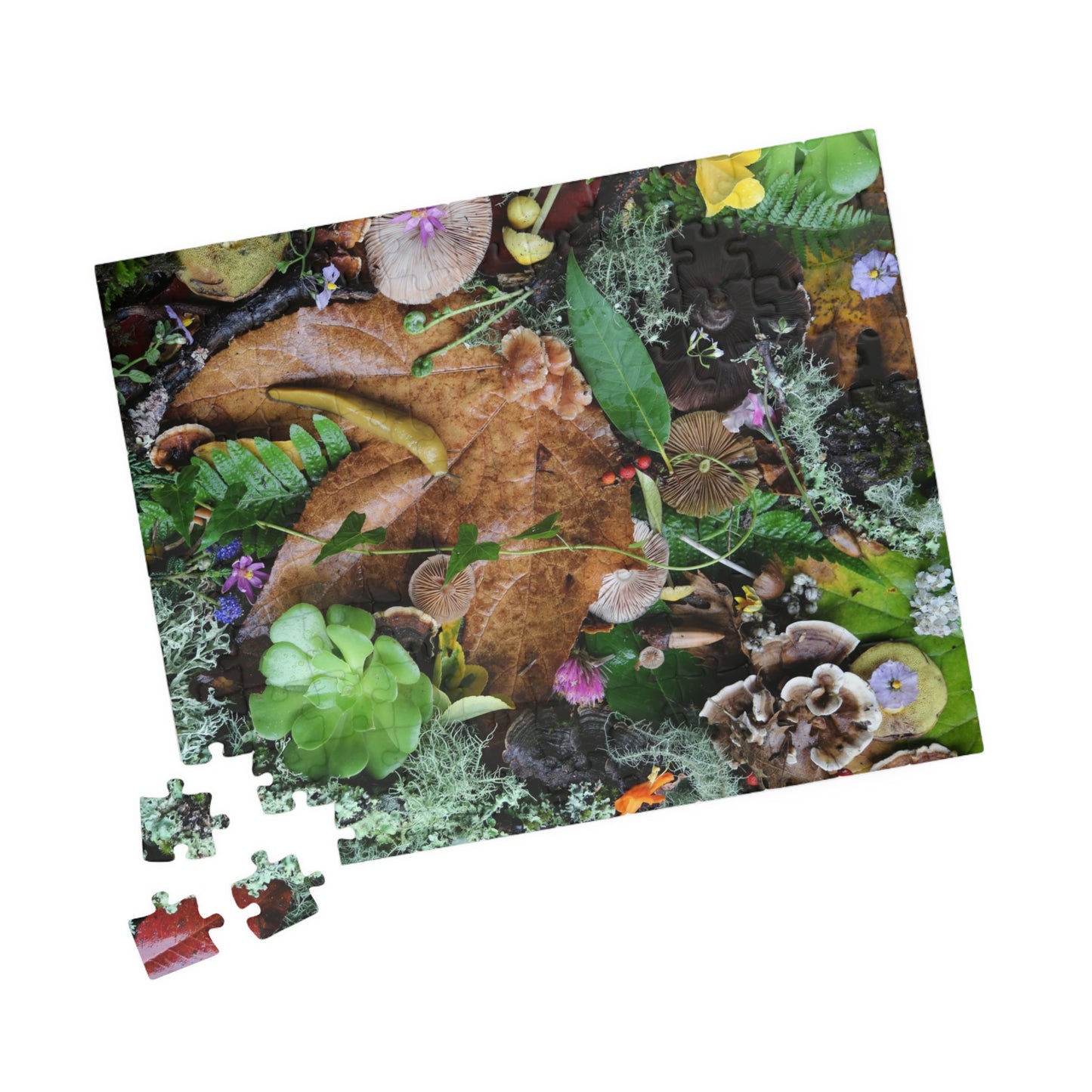 Autumn Forest Floor Puzzle — Nature Leaf & Moss Jigsaw (110–1014 pcs)