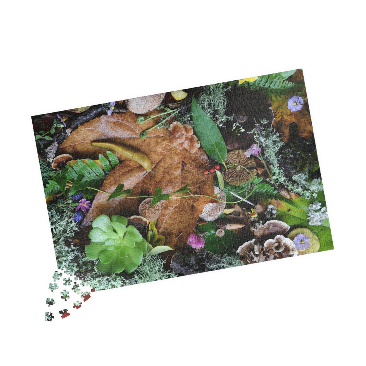 Autumn Forest Floor Puzzle — Nature Leaf & Moss Jigsaw (110–1014 pcs)