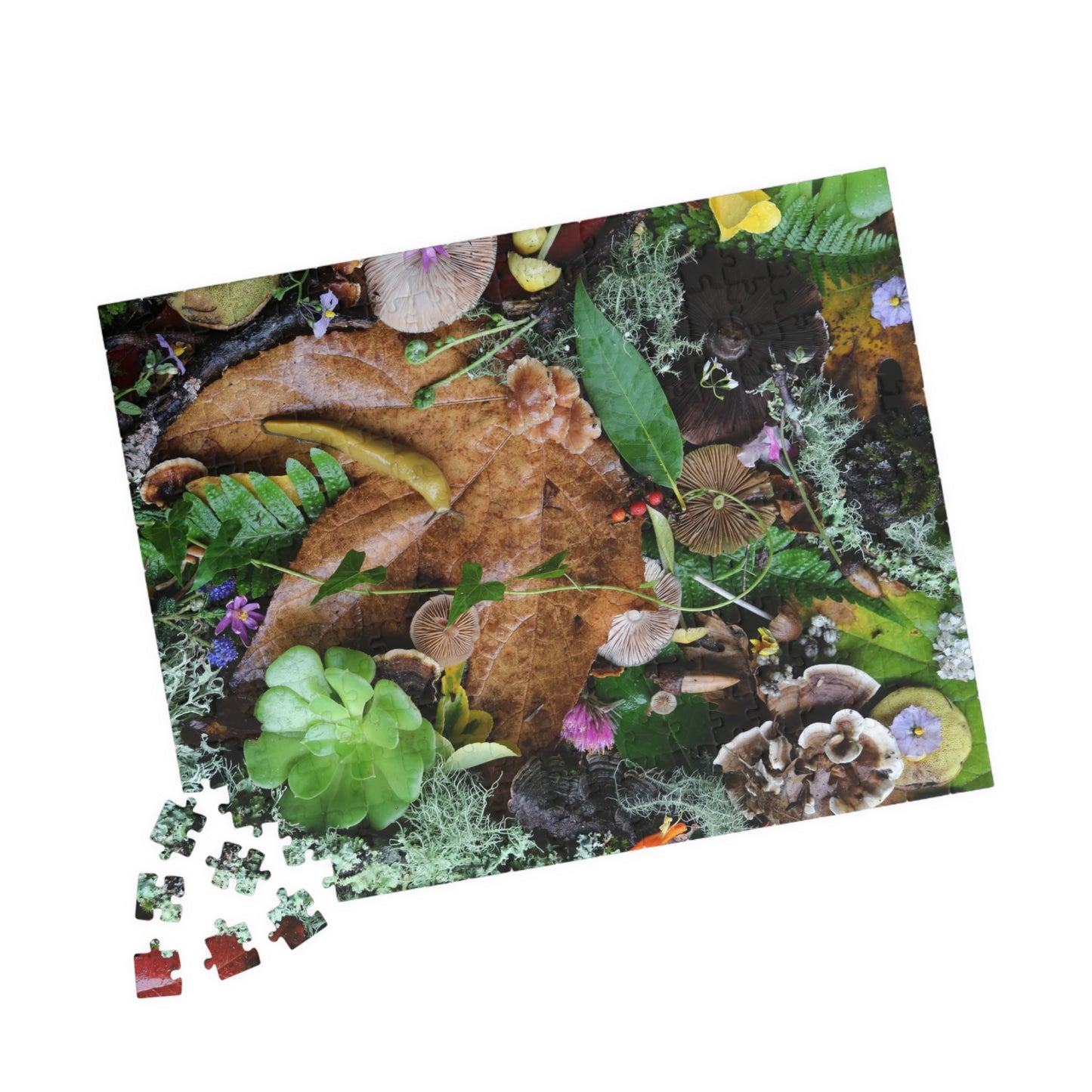Autumn Forest Floor Puzzle — Nature Leaf & Moss Jigsaw (110–1014 pcs)