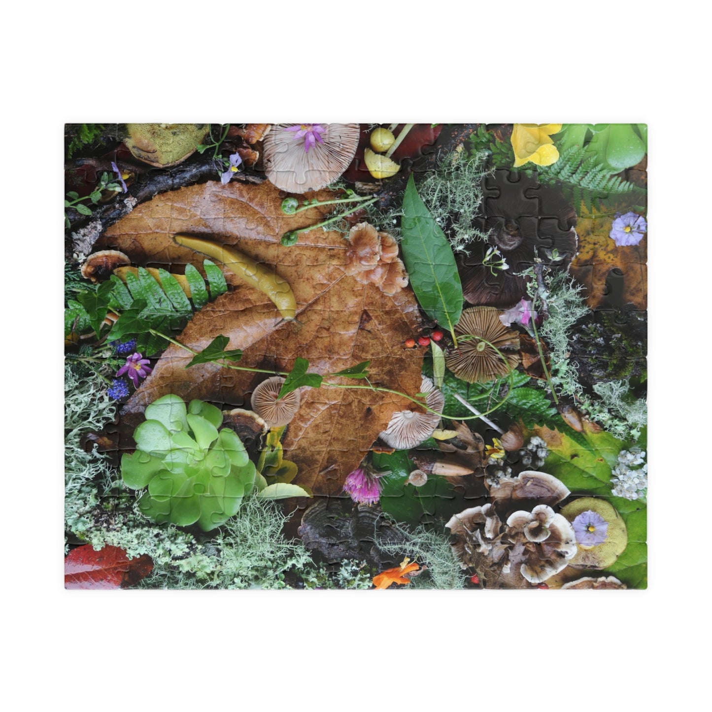 Autumn Forest Floor Puzzle — Nature Leaf & Moss Jigsaw (110–1014 pcs)