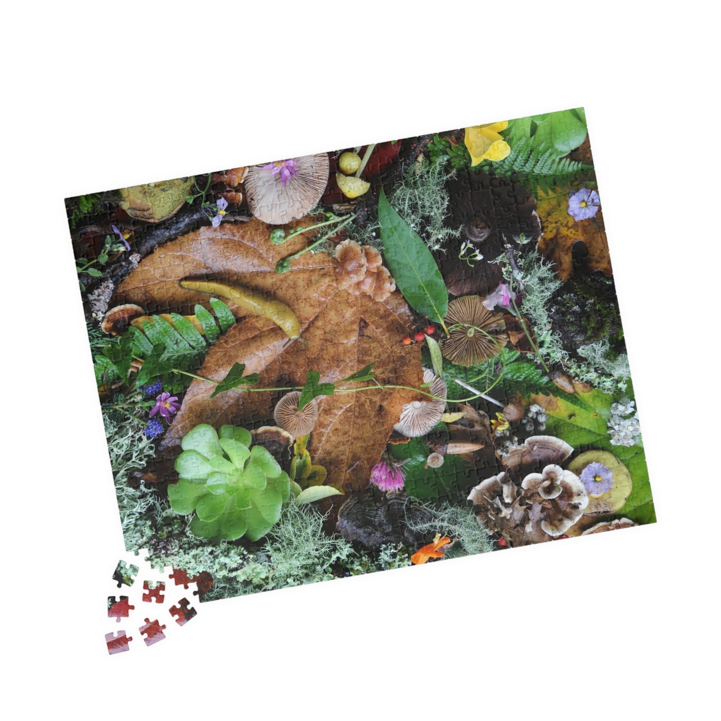 Autumn Forest Floor Puzzle — Nature Leaf & Moss Jigsaw (110–1014 pcs)