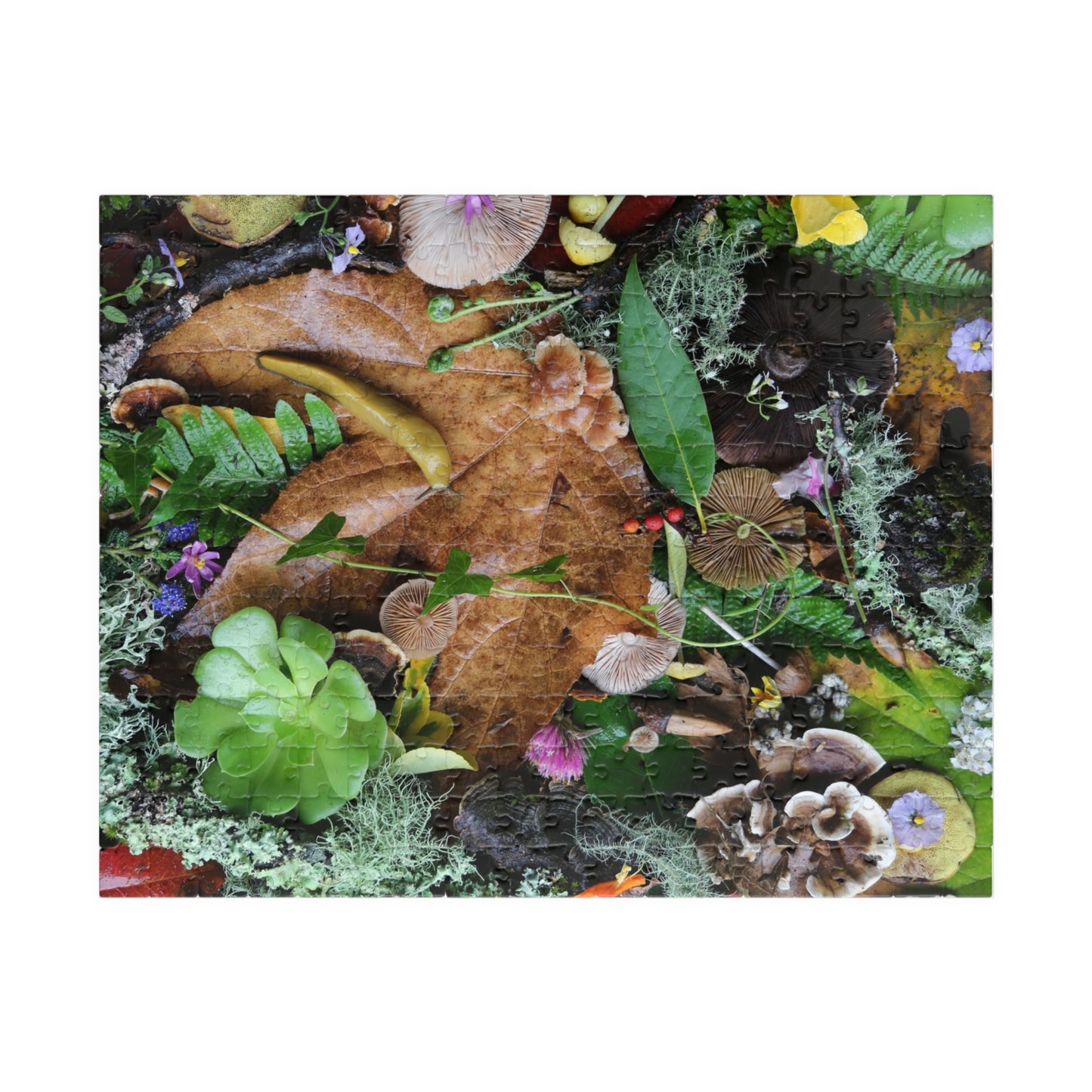 Autumn Forest Floor Puzzle — Nature Leaf & Moss Jigsaw (110–1014 pcs)