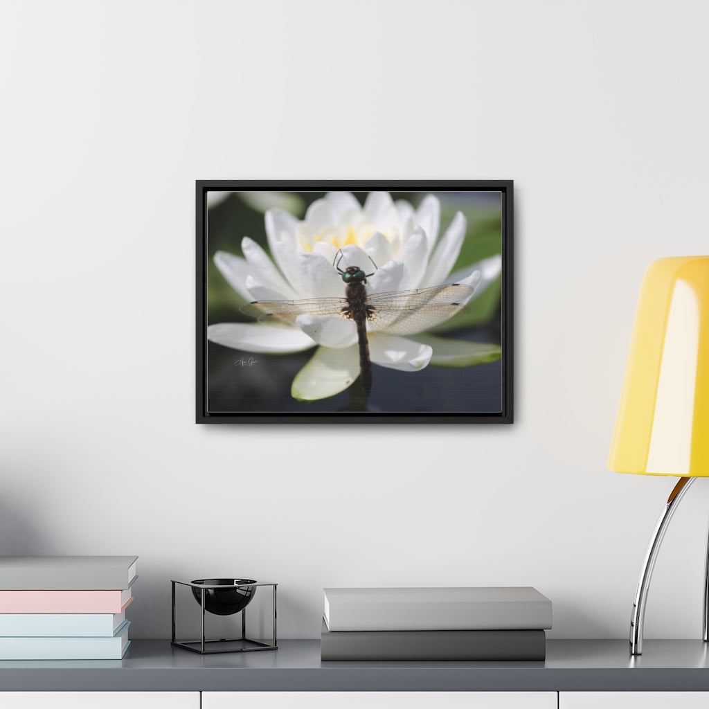 Dragonfly Horizontal Canvas