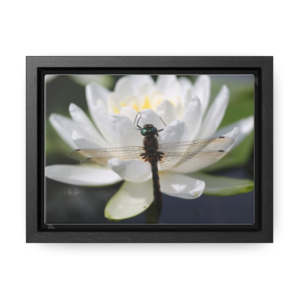 Dragonfly Horizontal Canvas