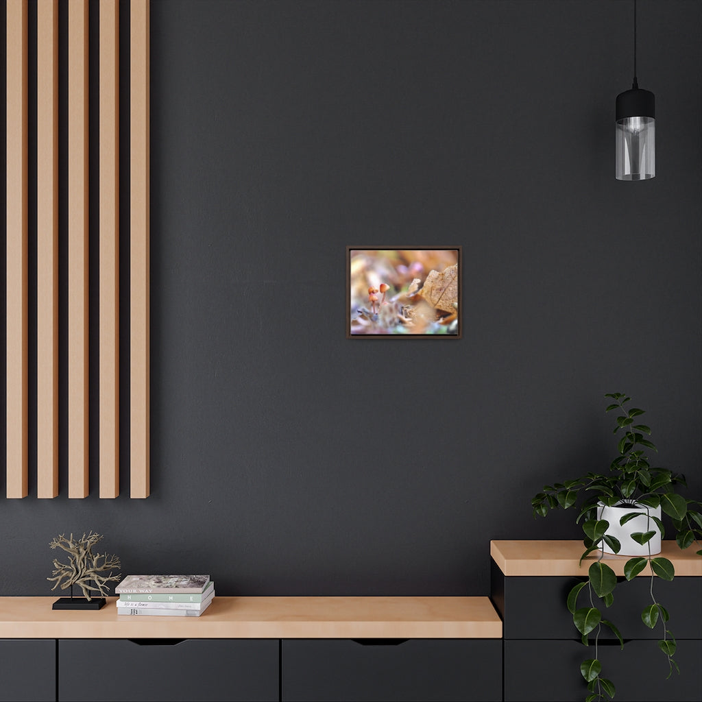Framed Fall Mushroom Canvas