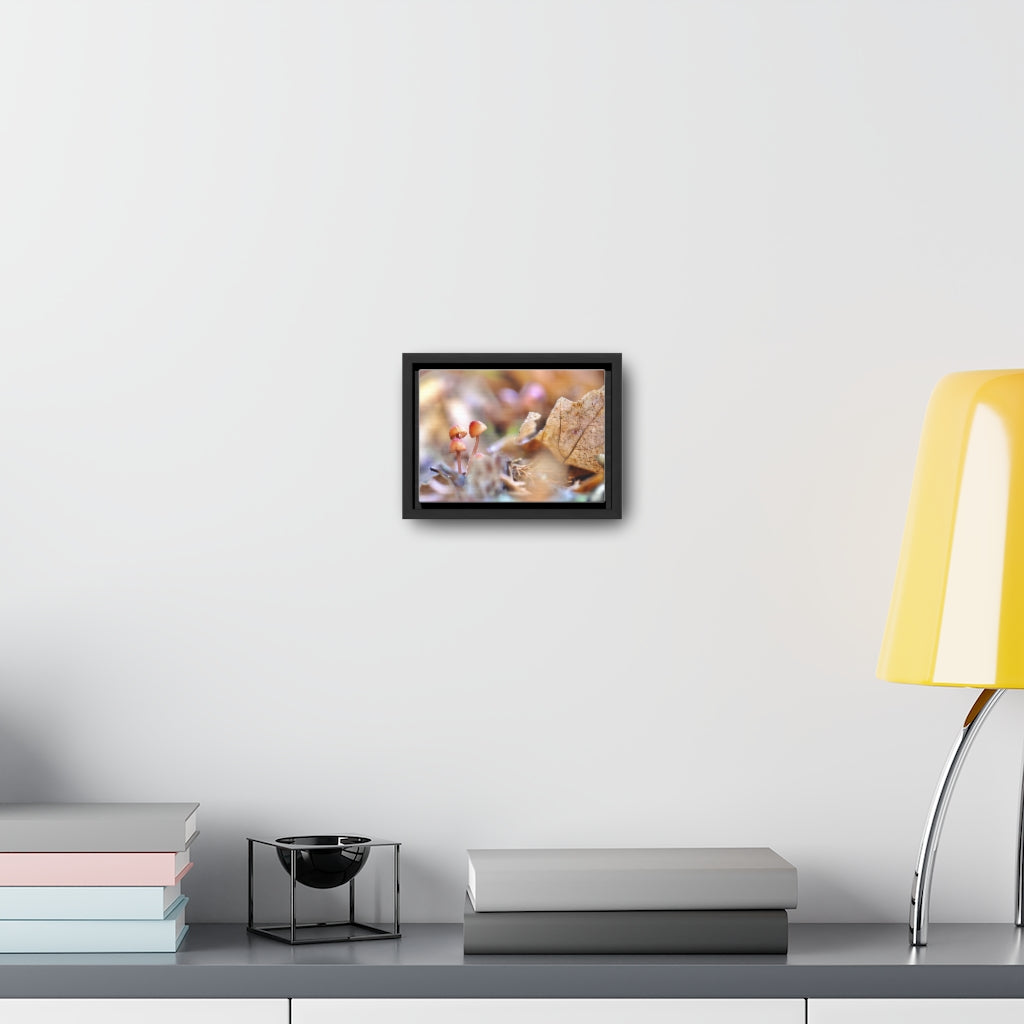 Framed Fall Mushroom Canvas