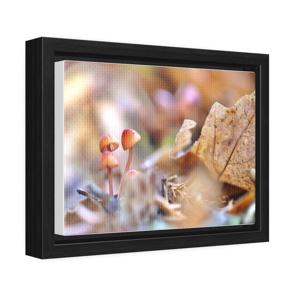 Framed Fall Mushroom Canvas