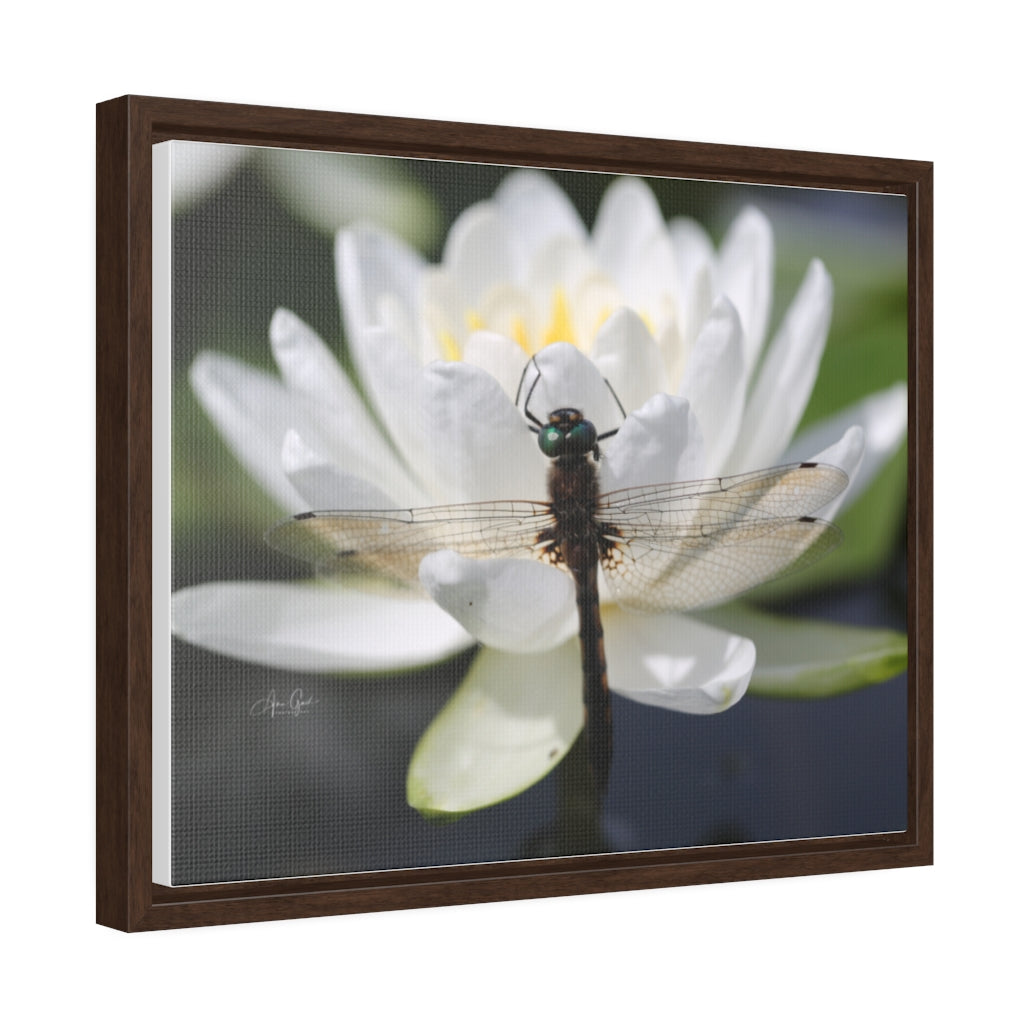 Dragonfly Horizontal Canvas