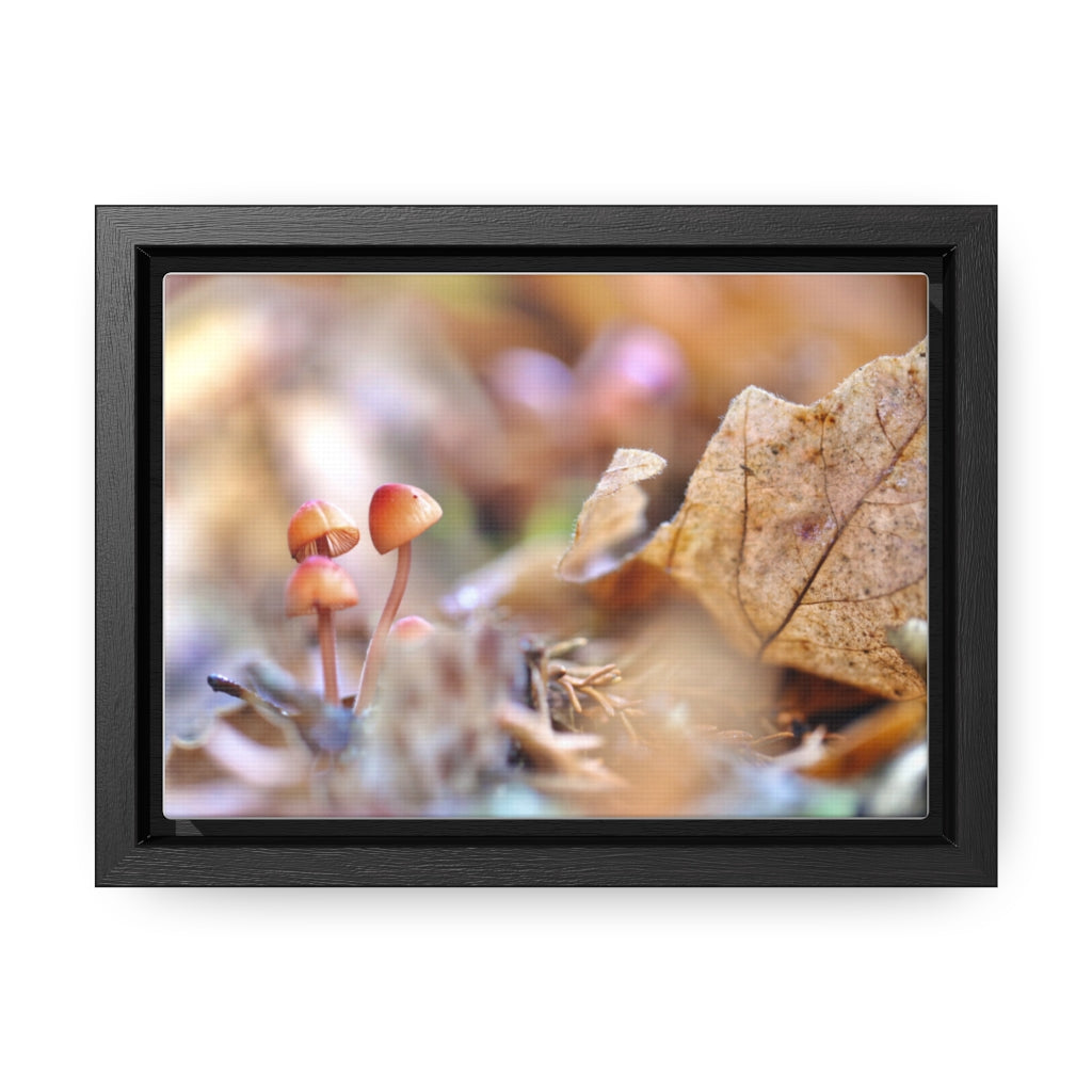 Framed Fall Mushroom Canvas