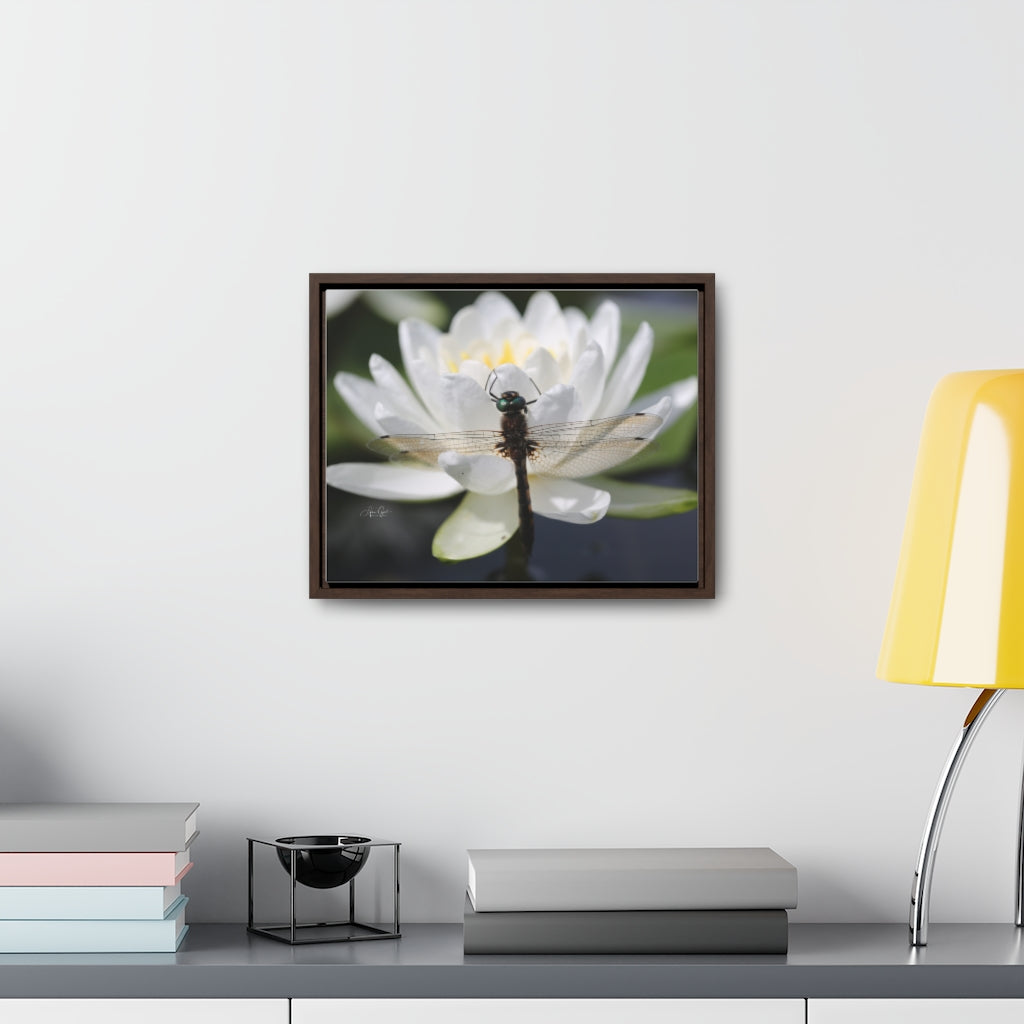 Dragonfly Horizontal Canvas
