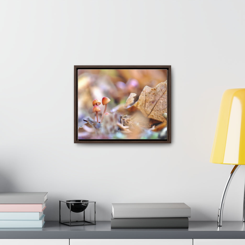 Framed Fall Mushroom Canvas