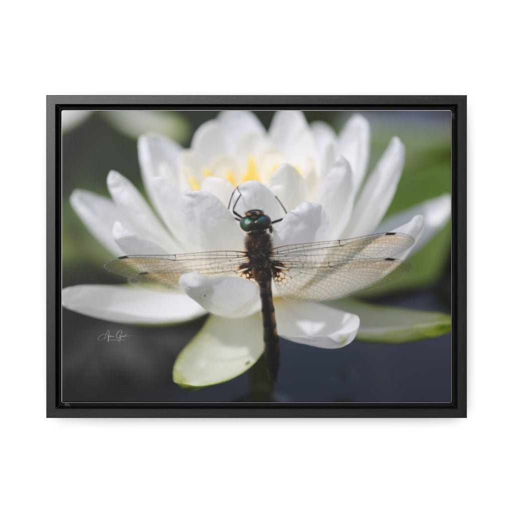 Dragonfly Horizontal Canvas