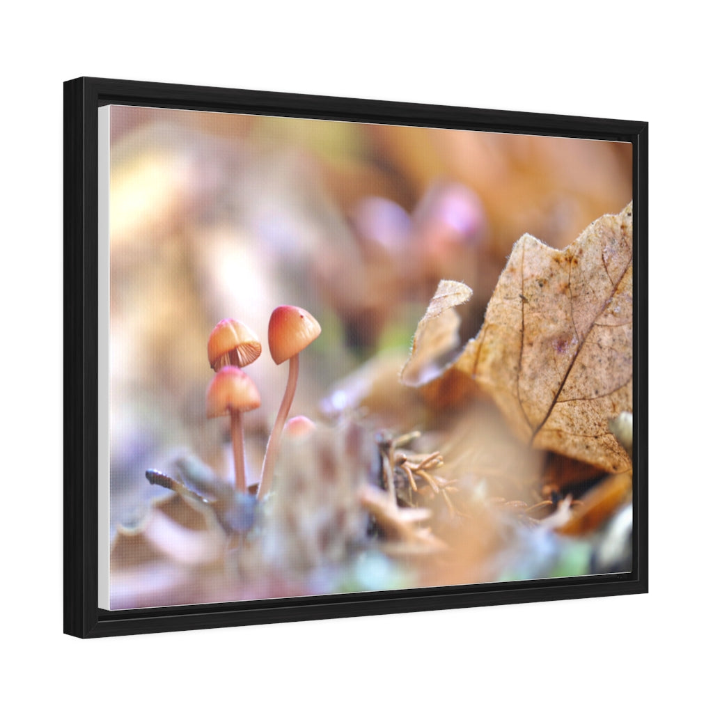 Framed Fall Mushroom Canvas