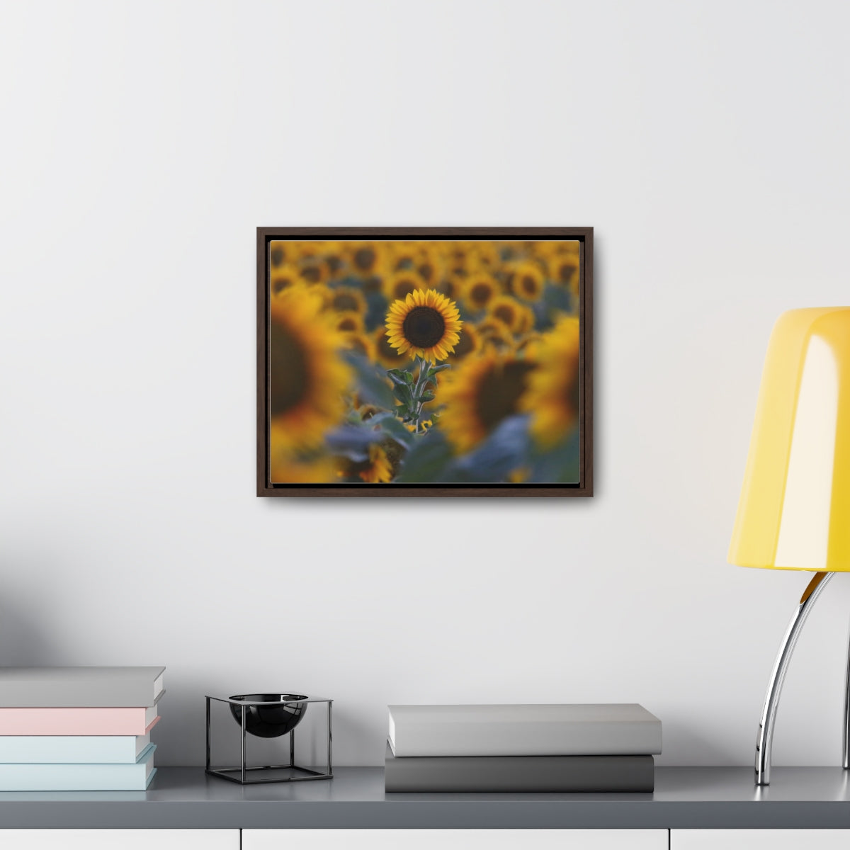 Field of Minnesota Sunflowers - Framed Canvas