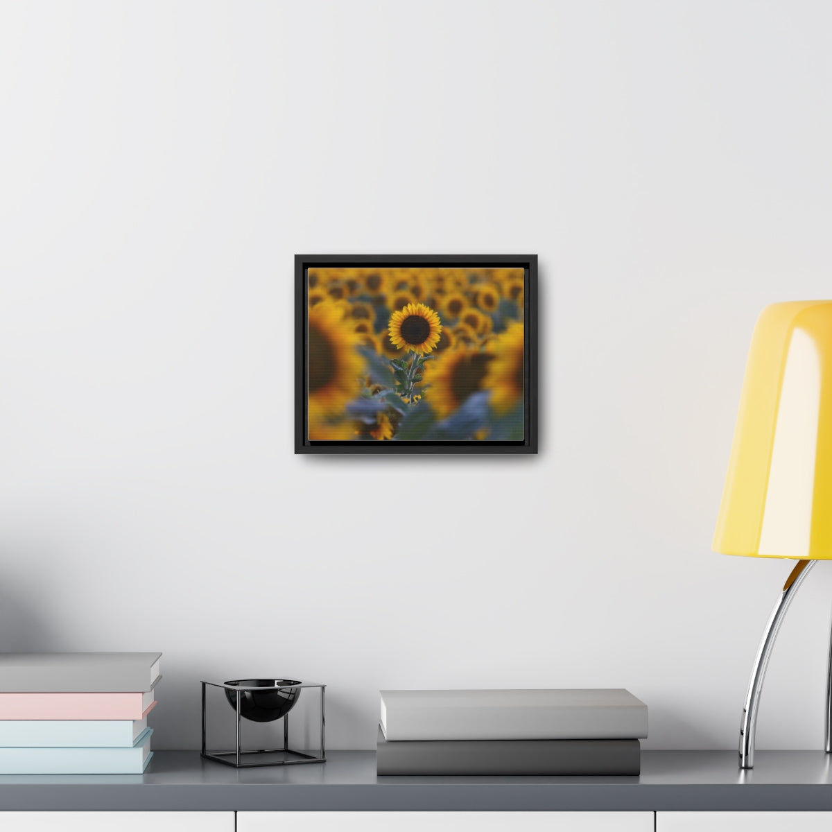 Field of Minnesota Sunflowers - Framed Canvas