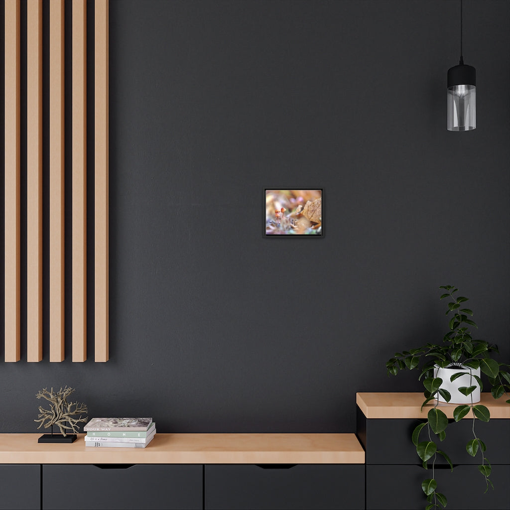 Framed Fall Mushroom Canvas