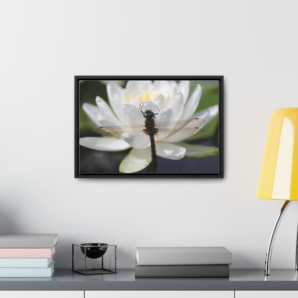 Dragonfly Horizontal Canvas