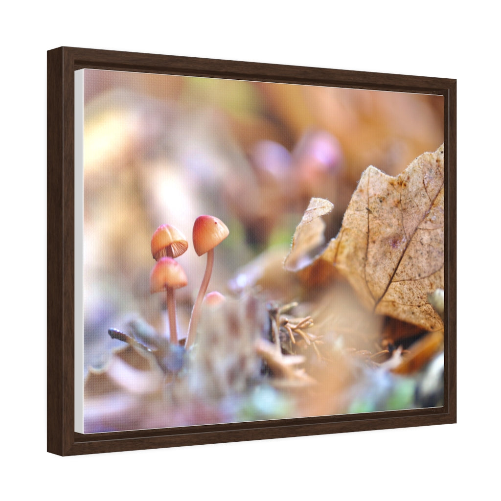 Framed Fall Mushroom Canvas