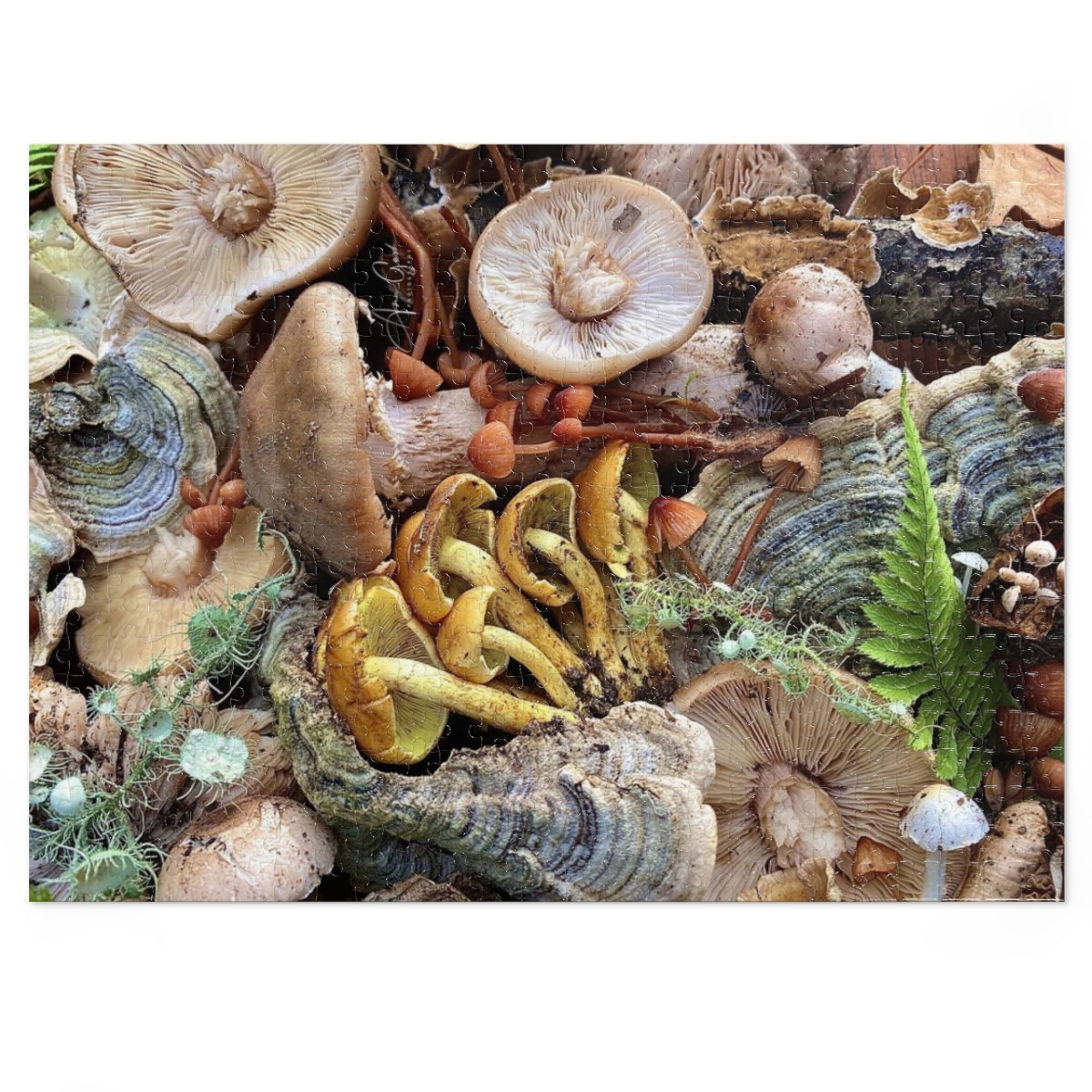 Summit Mushrooms -  Jigsaw Puzzle (252, 500, 1000-Piece)