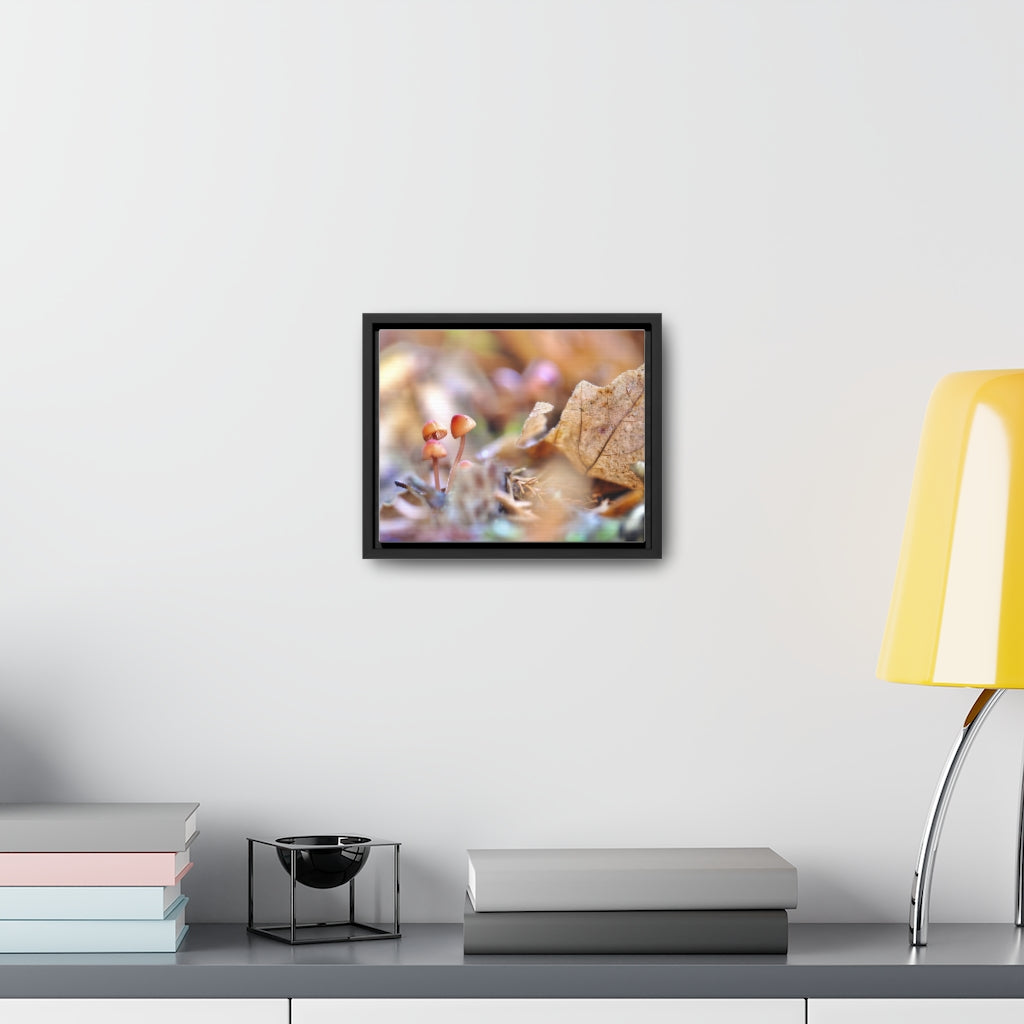 Framed Fall Mushroom Canvas
