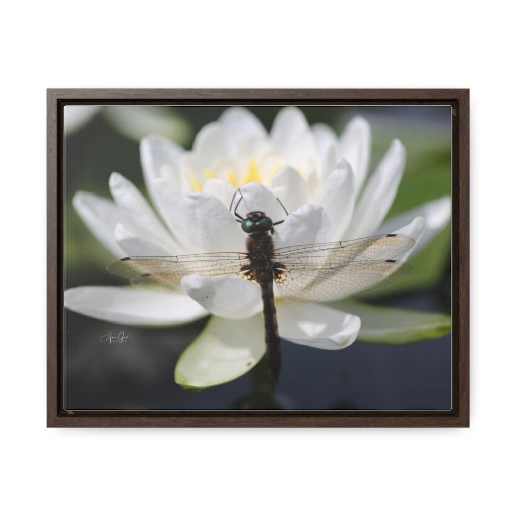 Dragonfly Horizontal Canvas