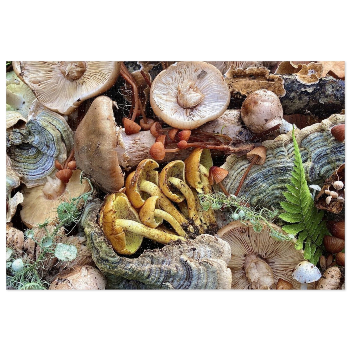 Summit Mushrooms -  Jigsaw Puzzle (252, 500, 1000-Piece)