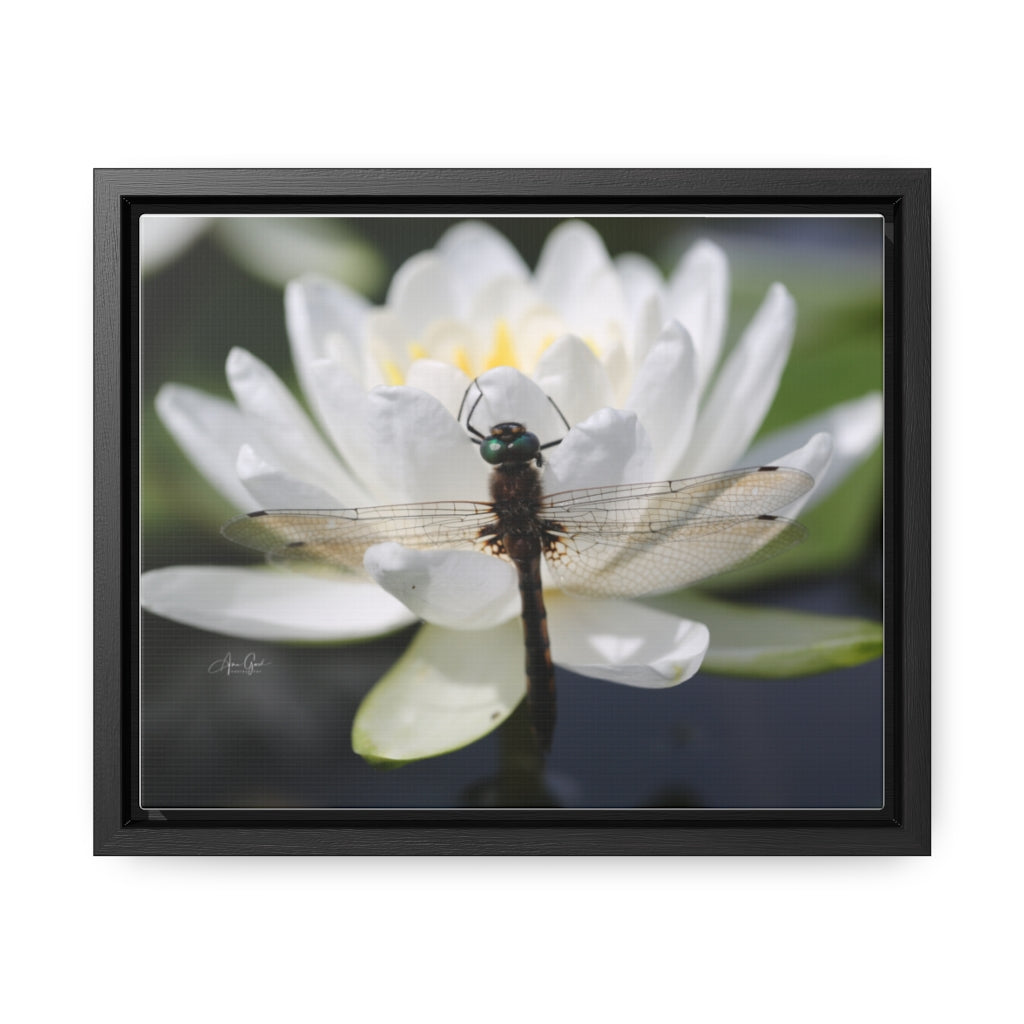 Dragonfly Horizontal Canvas