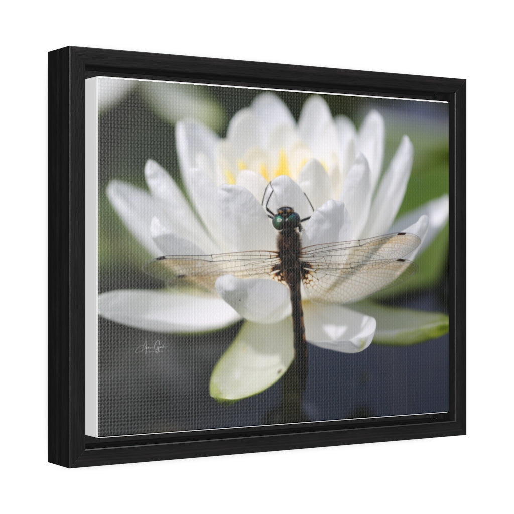 Dragonfly Horizontal Canvas