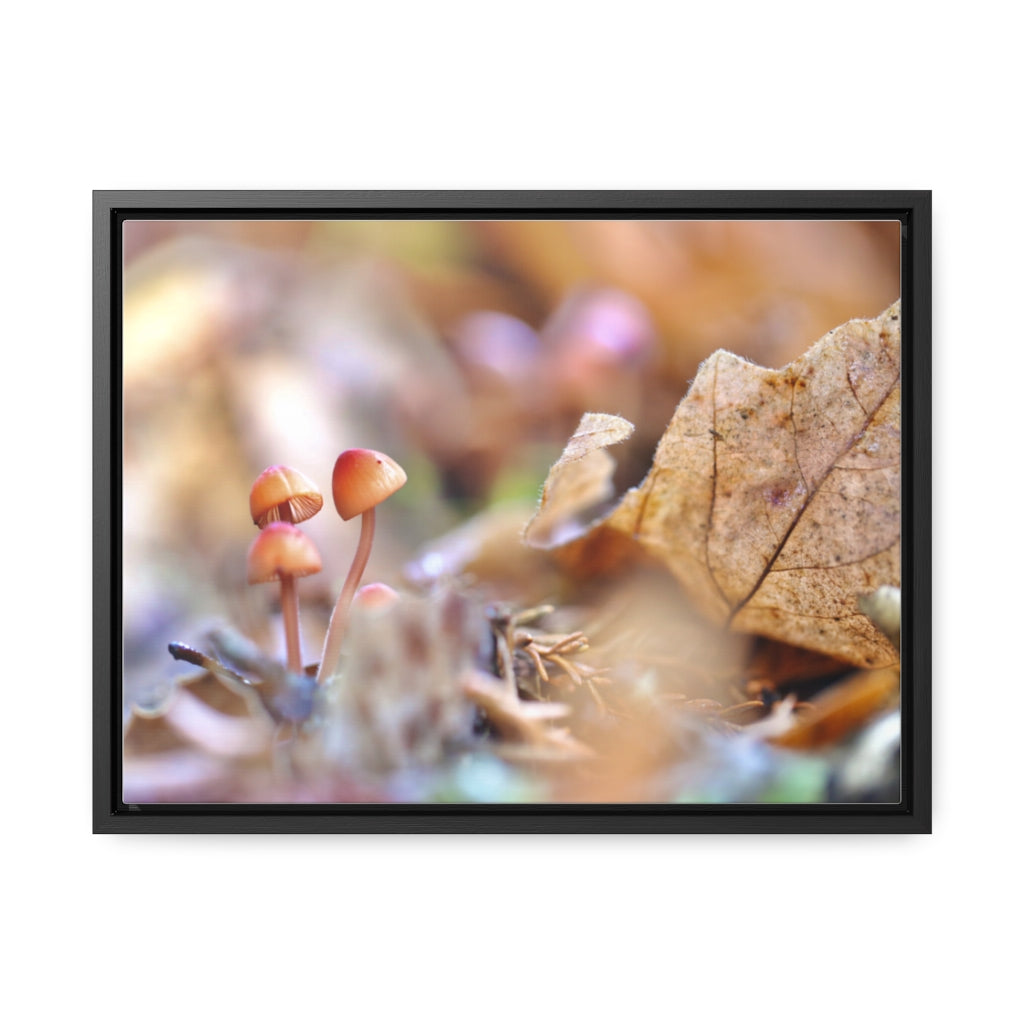 Framed Fall Mushroom Canvas