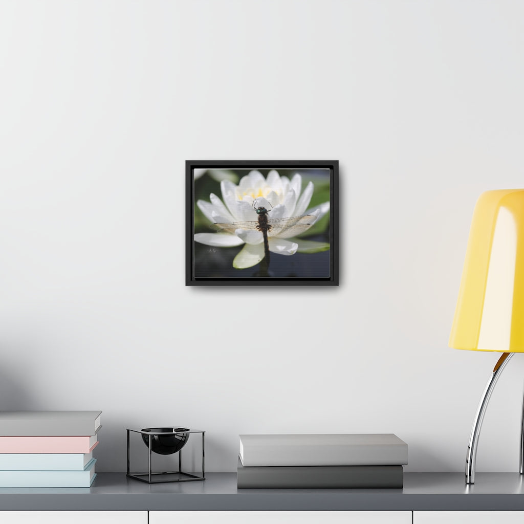 Dragonfly Horizontal Canvas