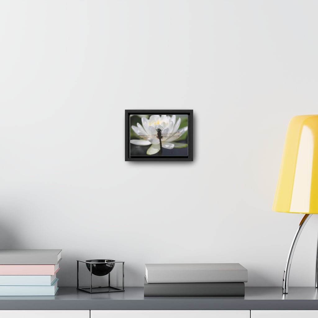 Dragonfly Horizontal Canvas