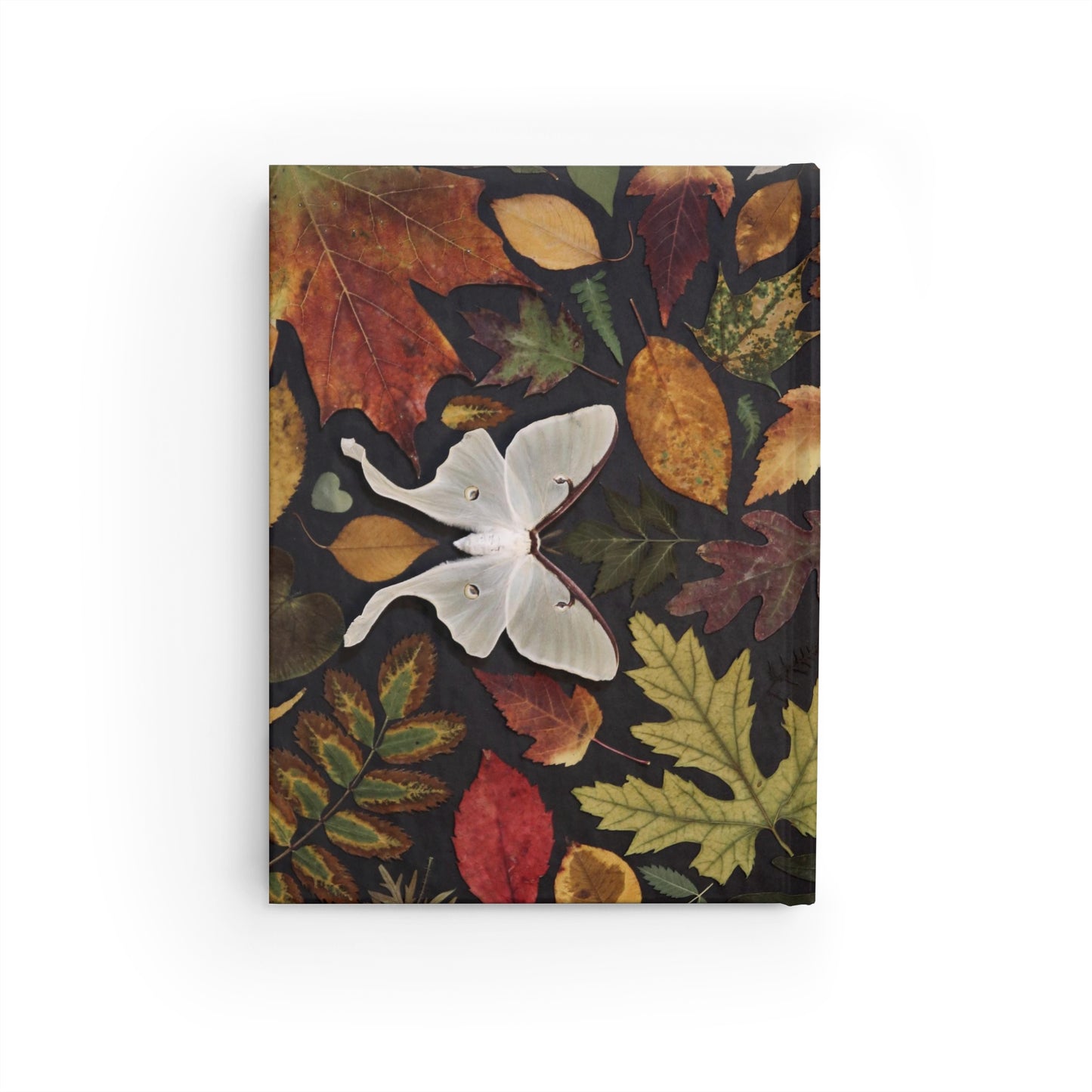 Autumn Moth Journal