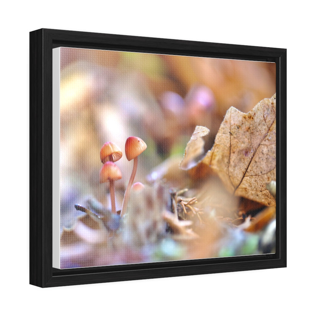 Framed Fall Mushroom Canvas