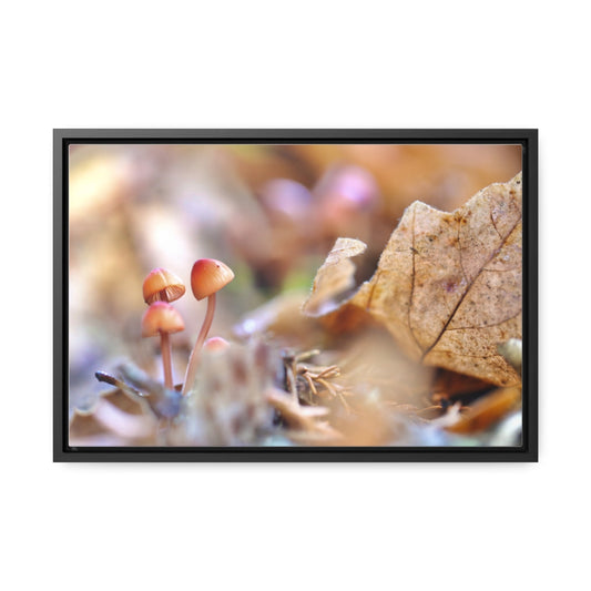 Framed Fall Mushroom Canvas