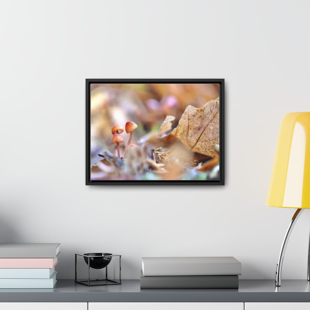 Framed Fall Mushroom Canvas