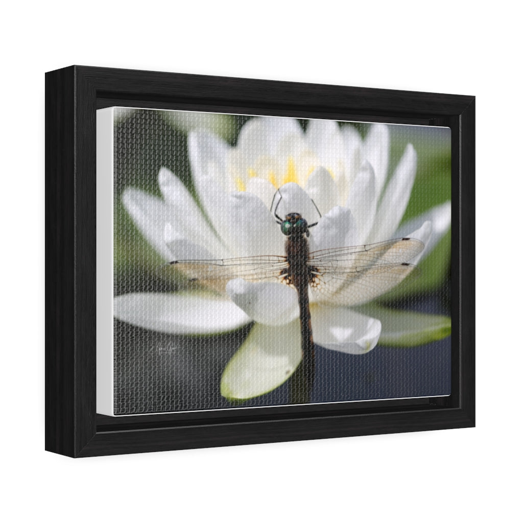 Dragonfly Horizontal Canvas