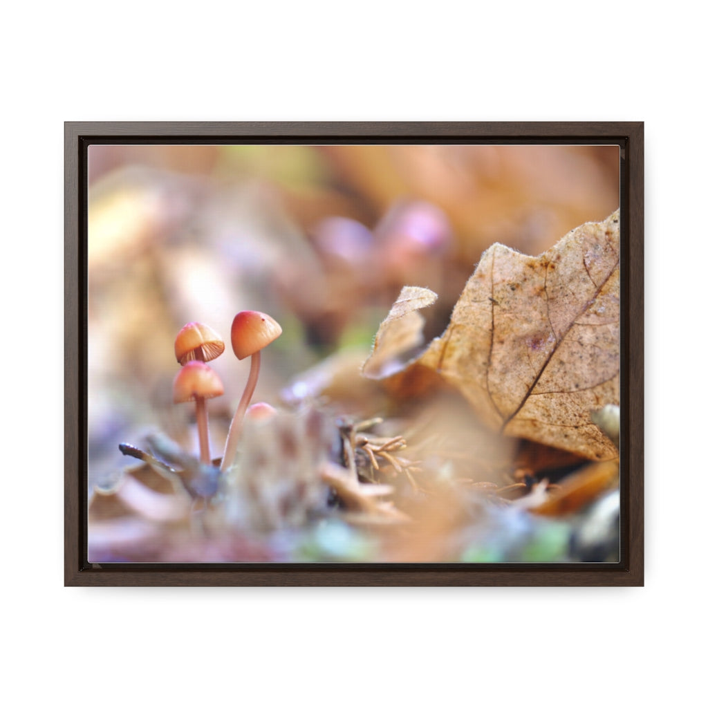 Framed Fall Mushroom Canvas