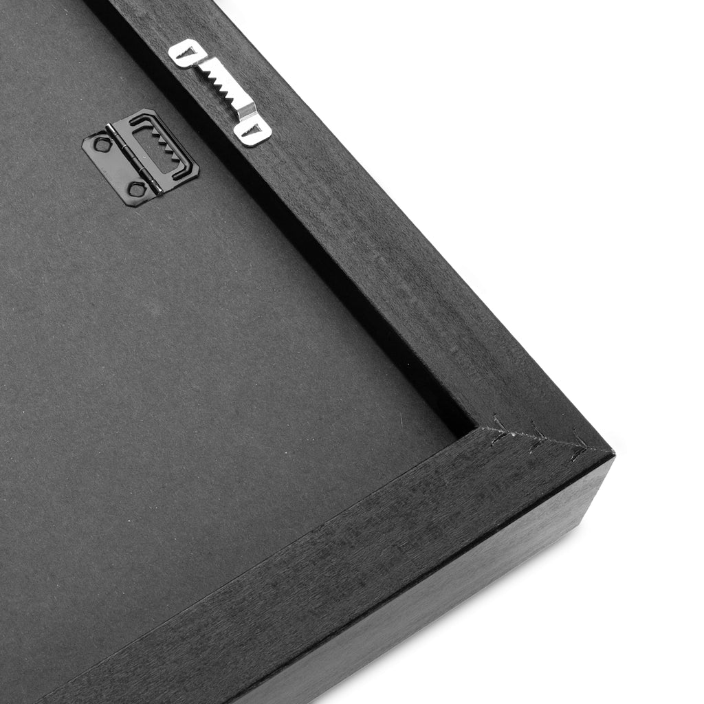 Dragonfly Horizontal Canvas