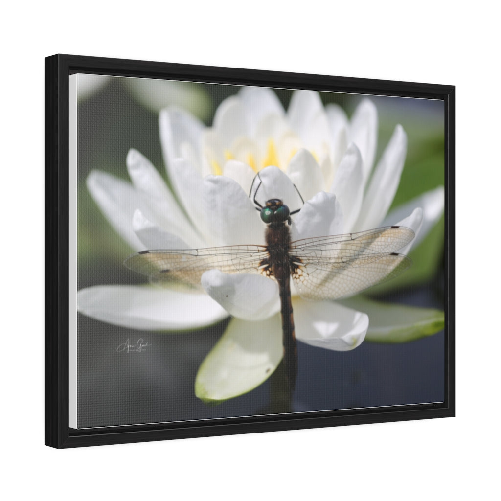 Dragonfly Horizontal Canvas