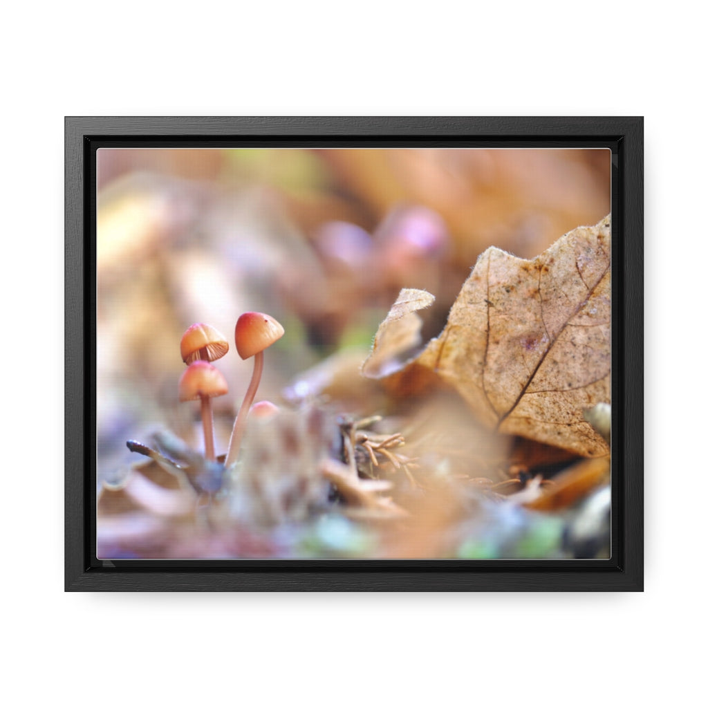 Framed Fall Mushroom Canvas