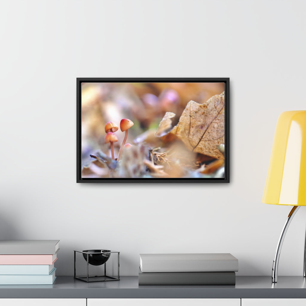 Framed Fall Mushroom Canvas
