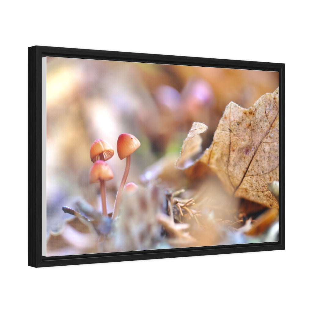 Framed Fall Mushroom Canvas