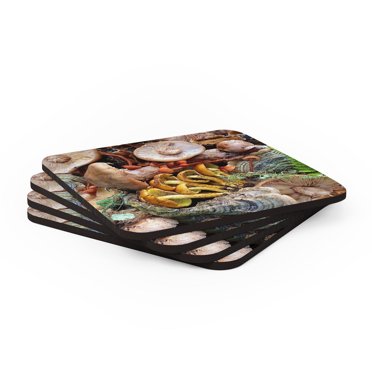 Summit Harvest - Coaster Set