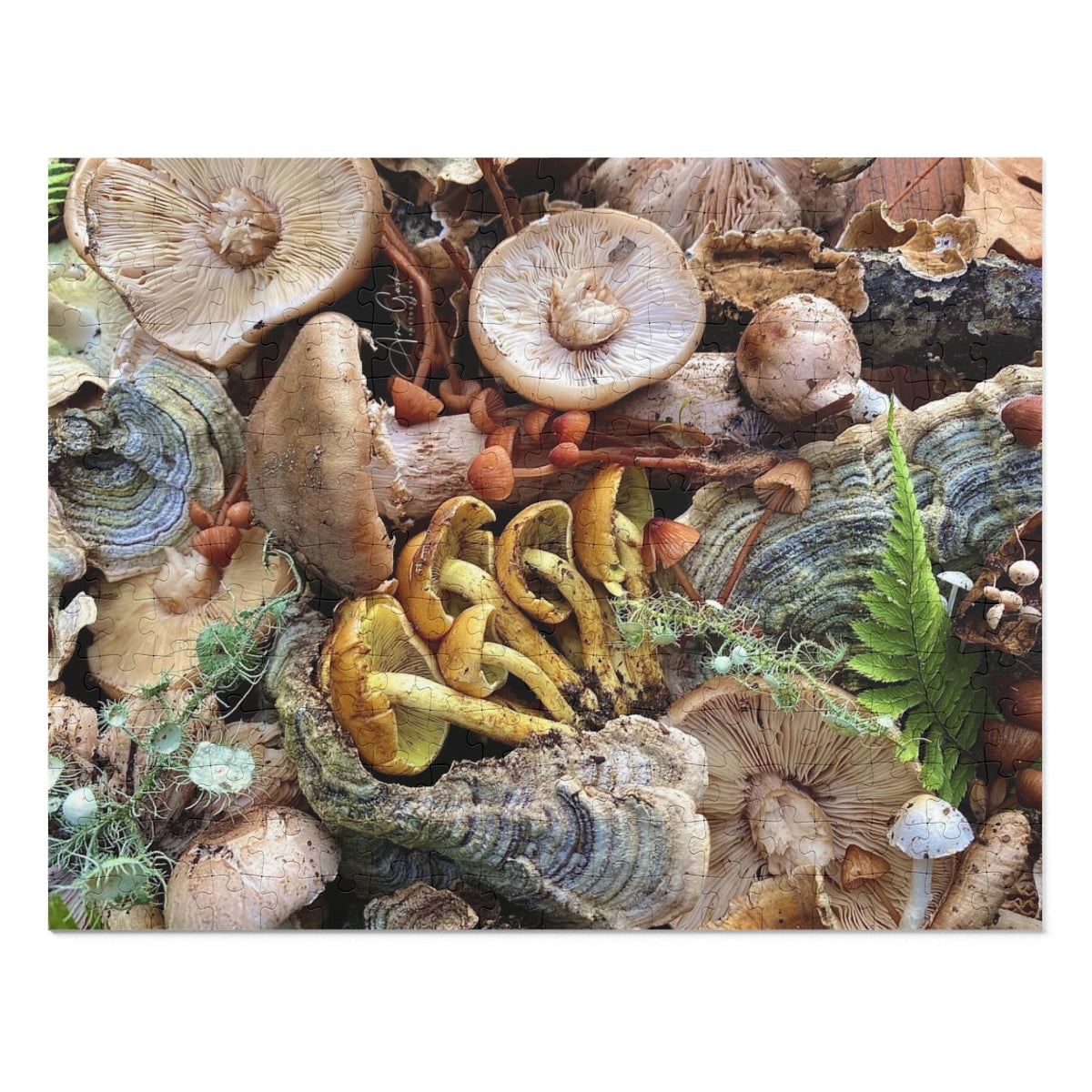 Summit Mushrooms -  Jigsaw Puzzle (252, 500, 1000-Piece)