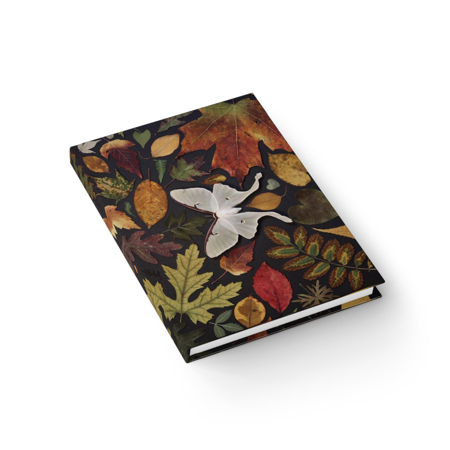 Autumn Moth Journal
