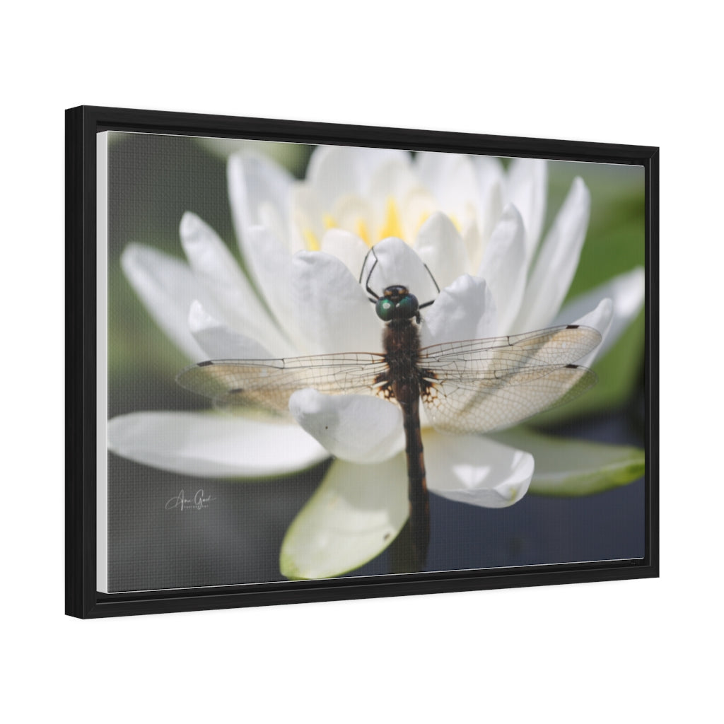 Dragonfly Horizontal Canvas