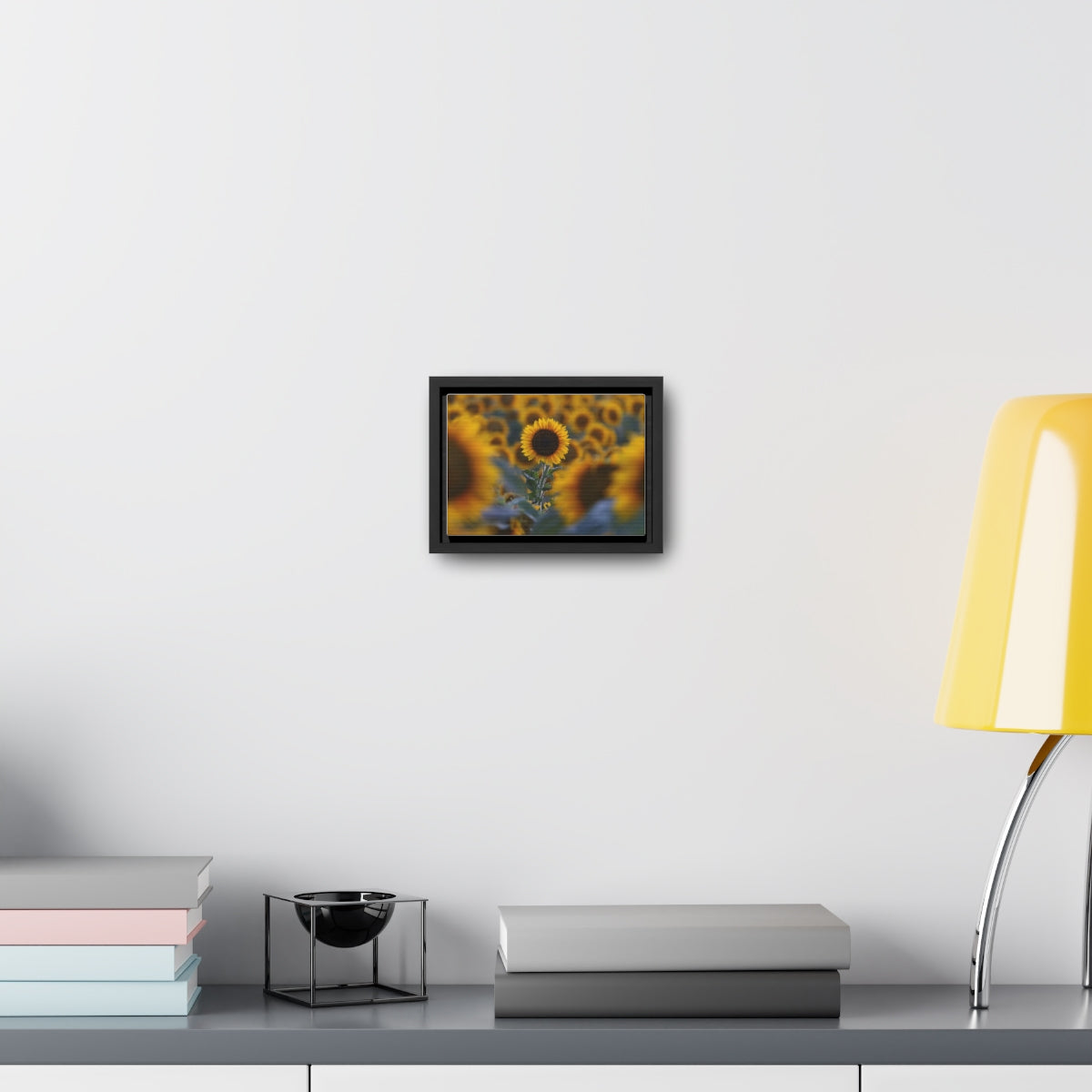 Field of Minnesota Sunflowers - Framed Canvas